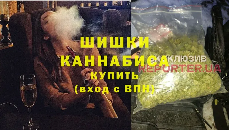 Шишки марихуана конопля  Нефтекумск 